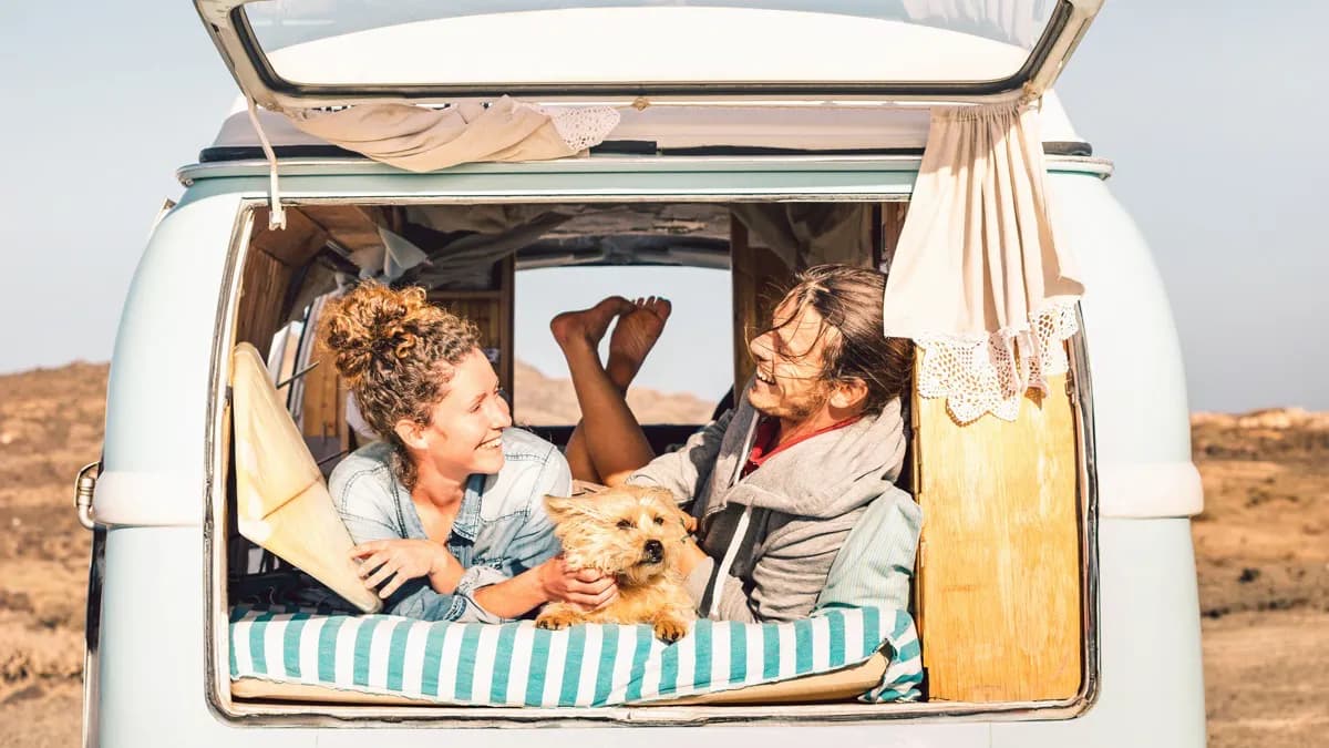 Voyager avec un chien en camping-car