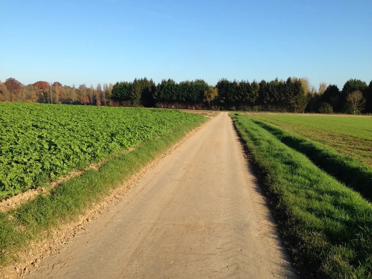 Chemin dans la campagne de Beloeil