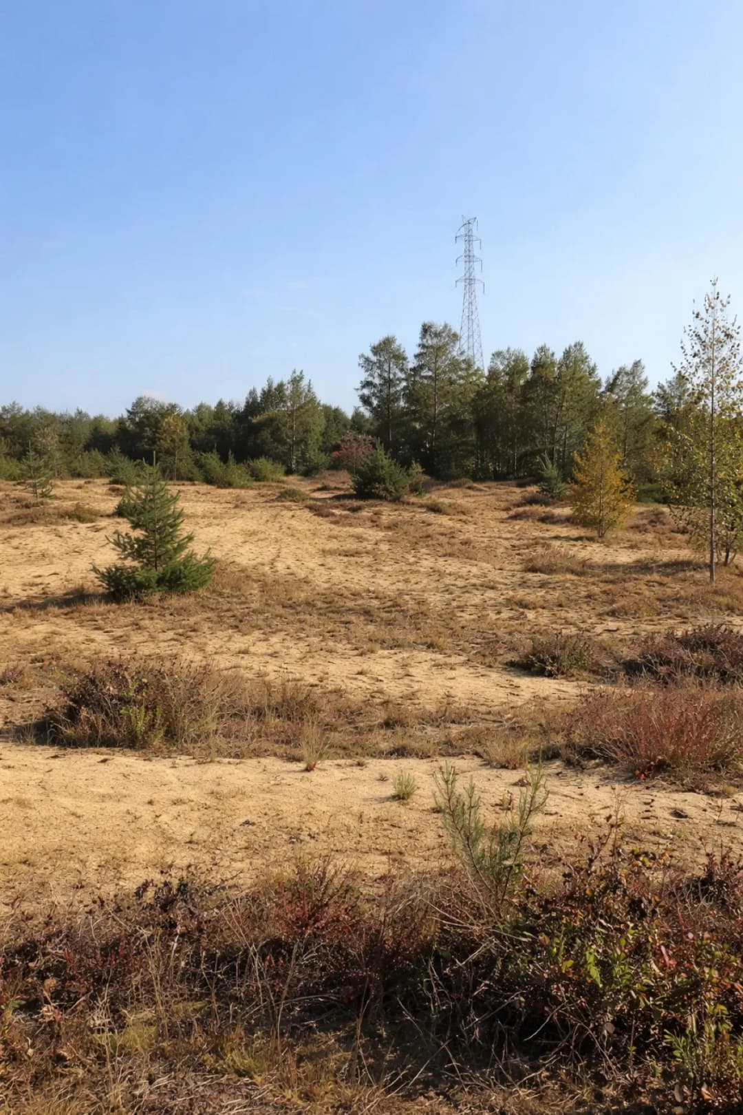 La Grande Bruyère de Blaton