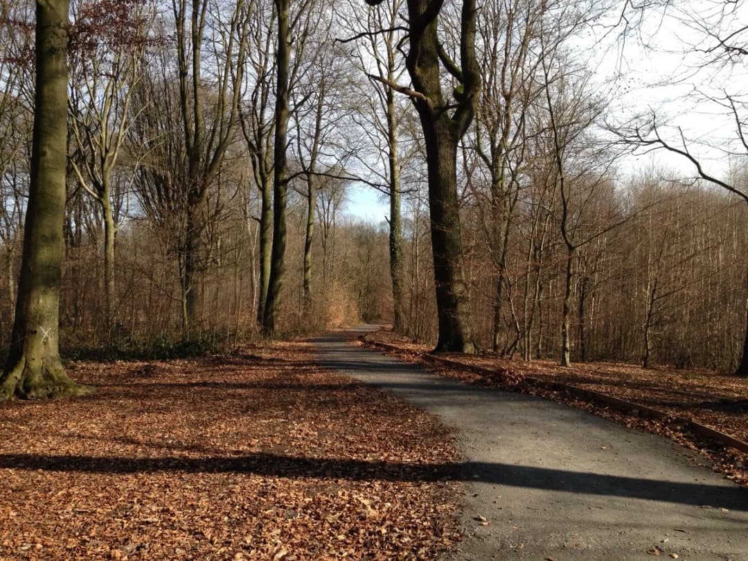 Circuit de l’Avenue de l’Hermitage à Bon-Secours