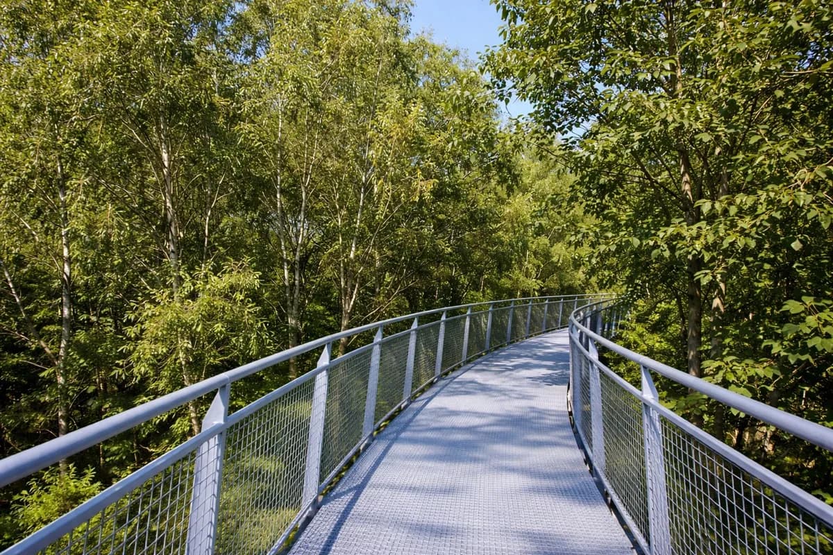 Promenoir des cimes à Bon-Secours