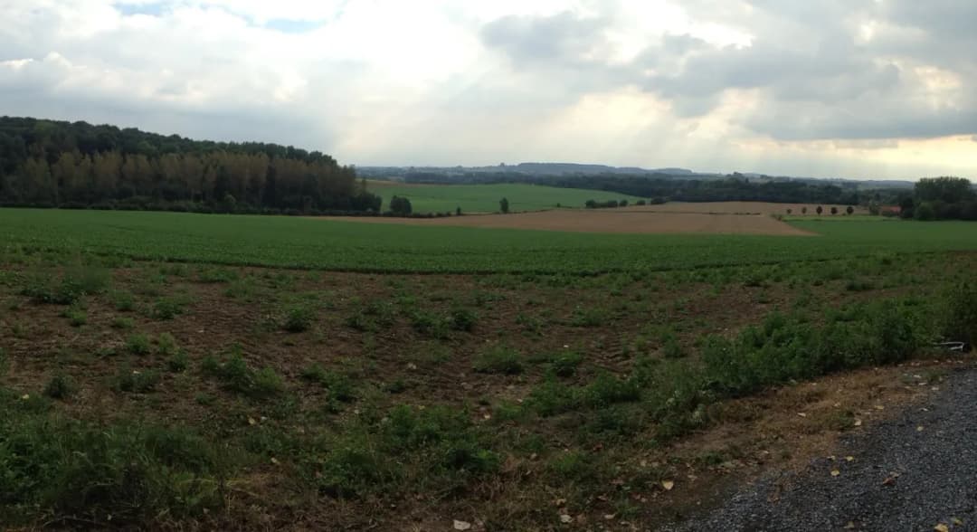 Le sentier enchanté à Frasnes-lez-Anvaing