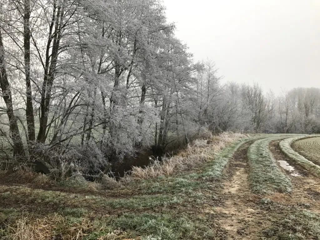 Campagnes d'Ostiches