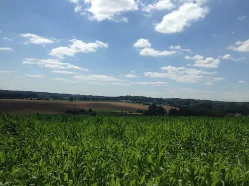 Les champs aux alentours de Silly