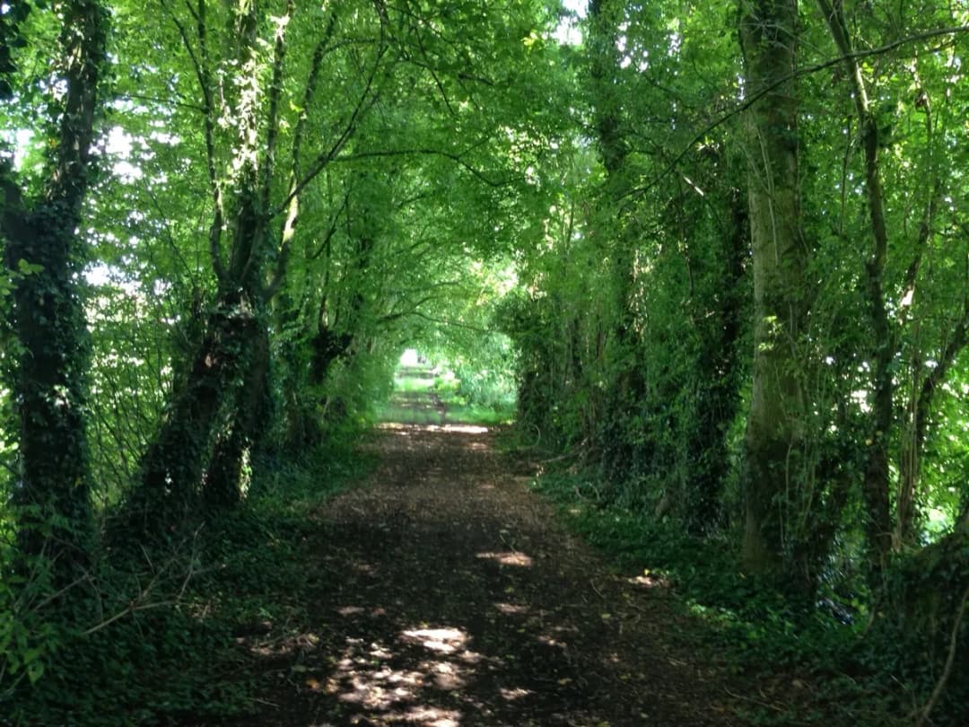Bois de Silly