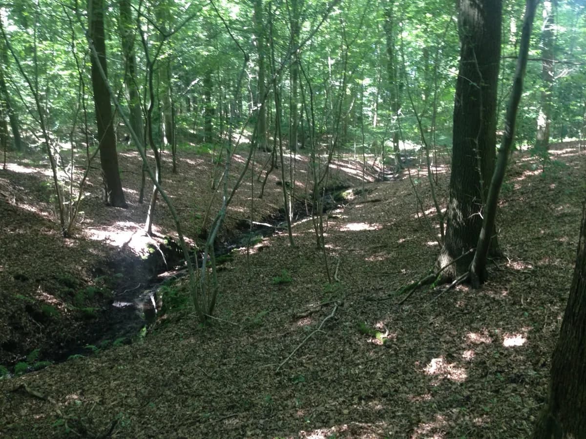 Graty au gré des champs et des bois à Silly
